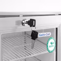 GASTRO-COOL | Promotional Refrigerator with Lighted Canopy – 21 Liters – with 1 Glass Door – Black