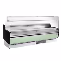 Serve Over Counter - 2560mm - with 4 doors - front panel light green - capacity 282 litres