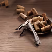 ZWILLING | SOMMELIER - Garson bıçağı - mat 