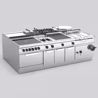 Induktionsherd - 10 kW - 2 Kochfelder
