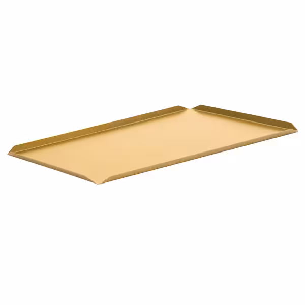 (5 kom) Prezentacijski pladanj - Aluminij - 700x100x10 mm - šampanj