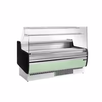 Serve Over Counter - 1622x953mm - front panel light green - capacity 178 litres