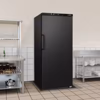 Szafa chłodnicza magazynowa ECO – 600 L – z 1 drzwiami – wewnętrzna strona drzwi z tworzywa sztucznego – czarna
