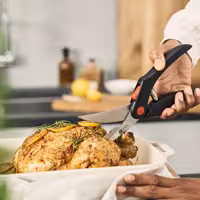 ZWILLING | Nożyce do drobiu – tworzywo sztuczne – 250 mm