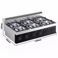 Plinsko kuhalo - Linija 700 - 1200x700x430 mm - 36 kW - 6 plamenika - nadpultni