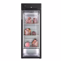 Dry Aging skříň na zrání masa - 600 mm - 1 skleněné dveře - Černá
