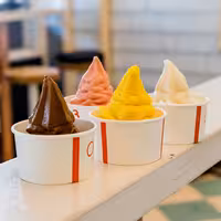 Commercial Soft Serve Ice Cream Machine - 11.25L/h - 1.5kW - for 1 flavour - Countertop - Pre-Cooling