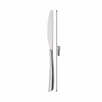 (12 pcs) Dessert knife Stella - 13/0 stainless steel - 210mm