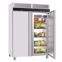 Szafa mroźnicza ECO – stal nierdzewna – GN 2/1 – 1400 L – z 2 drzwiami