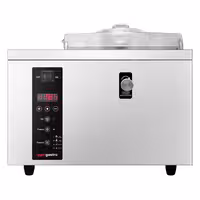 Commercial Batch Freezer - 5L/h - 500W - Countertop