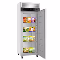 Saldētavas skapis no nerūsējošā tērauda ECO - GN 2/1 - 740 mm - 476 l - -22/-18 °C - ar 1 durvis - ECO, ventilējama dzesēšana, automātiska atkausēšana, R290