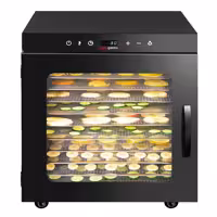 Toidukuivati - 10 restiga - roostevabast terasest - 800 W