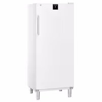 LIEBHERR | Szafa mroźnicza PERFORMANCE – 499 L – od -26 do -9 °C – z wnętrzem z tworzywa sztucznego – z 1 drzwiami i 10 koszami – biała