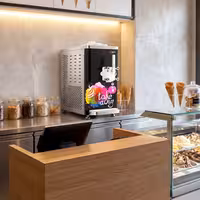 Commercial Soft Serve Ice Cream Machine - 11.25L/h - 1.5kW - for 1 flavour - Countertop - Pre-Cooling