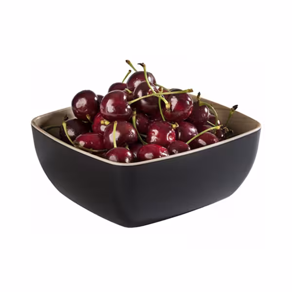 (6 adet) Gastronorm Küvet GN 1/6 - Melamin - FRIDA - 1L - köşeli - 176x162mm - Derinlik:75mm - Siyah