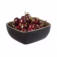 (6 adet) Gastronorm Küvet GN 1/6 - Melamin - FRIDA - 1L - köşeli - 176x162mm - Derinlik:75mm - Siyah