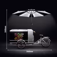 Ice Cream Cart / Ice cream bike - with LED lighting - with LED-lit umbrella - for 7 x 5 litres Napoli pans - 2665mm
