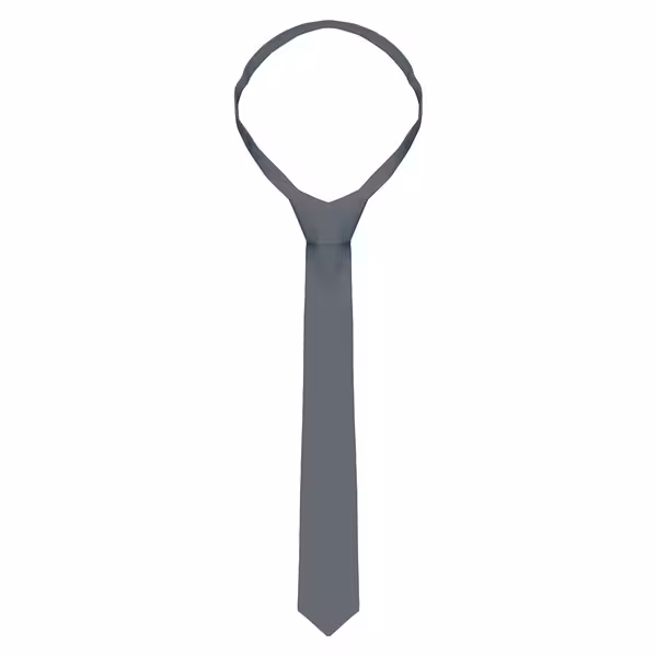 (5 pieces) KARLOWSKY | Slim Uniform Tie – Anthracite - 148 x 6.5 cm - 95°C washable - Easy-care
