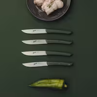 BERKEL | (4 bucăți) - Cuțit pentru friptură - Verde măsliniu - 110mm