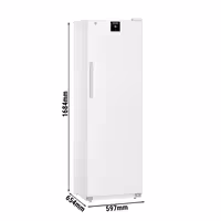 LIEBHERR | Szafa mroźnicza PERFORMANCE – 316 L – od -26 do -9 °C – z wnętrzem z tworzywa sztucznego – z 1 drzwiami – biała