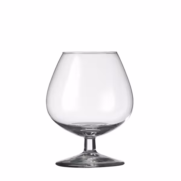 (12 adet) Konyak Bardağı - GILDE - 250 ml
