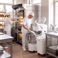 Pekarska spiralna miješalica za tijesto - 131 l / 80 kg - 2 brzine - s fiksnom posudom - s timerom - 400 V - za pizzu i kruh