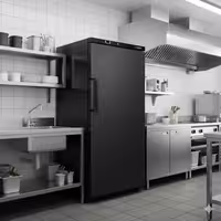 Restaurangfrysskåp i rostfritt stål ECO - 600 l - 1 dörr - 11 korgar - dörrinsida i plast - svart