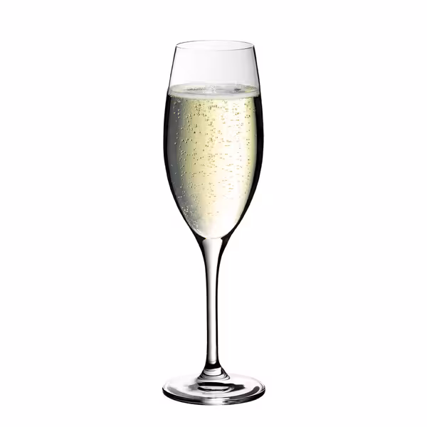(6 pieces) – WMF | ROYAL – Champagne Glass 29 – 250 ml