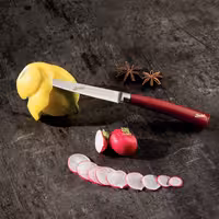 BERKEL | ELEGANCE - Steak Set - 6-teilig - Klinge: 110mm