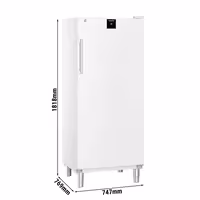 LIEBHERR | Szafa chłodnicza PERFORMANCE – 571 L – od +1 do +15 °C – z wnętrzem z tworzywa sztucznego i 1 drzwiami – biała