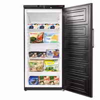 Szafa mroźnicza magazynowa ECO – 600 L – z 1 drzwiami – wewnętrzna strona drzwi z tworzywa sztucznego – czarna