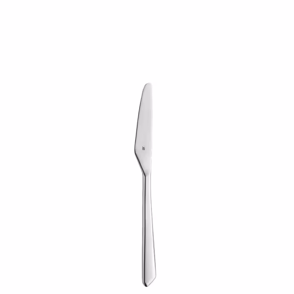 (12 pieces) WMF | SHADES Fruit Knife MB – 182 mm - polished - 18/10 stainless steel