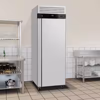 Uzglabāšanas ledusskapis no nerūsējošā tērauda ECO - GN 2/1 - 740 mm - 476 l - +0/+8 °C - ar 1 durvis - ECO, ventilējama dzesēšana, automātiska atkausēšana, R290, integrēta slēdzene, 4 riteņi