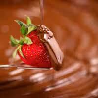 Commercial Chocolate Dispenser - 5kg - 0.95kW - with 1 tap
