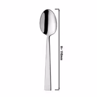 (12 pcs) Dessert spoon Luca - 18/10 stainless steel - 198mm