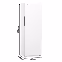 LIEBHERR | Szafa chłodnicza PERFORMANCE – 377 L – od +2 do +9 °C – z wnętrzem z tworzywa sztucznego i 1 drzwiami – biała