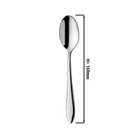 (12 pcs) Dessert spoon Leandro - 18/10 stainless steel - 160mm - Mirror