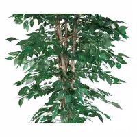 Yapay Ağaç "Ficus" - 210cm - Saksılı