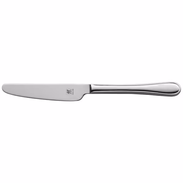 ZWILLING | Country Table Knife – 210 mm - Tapered blade - One-piece construction - 18/10 stainless steel - polished