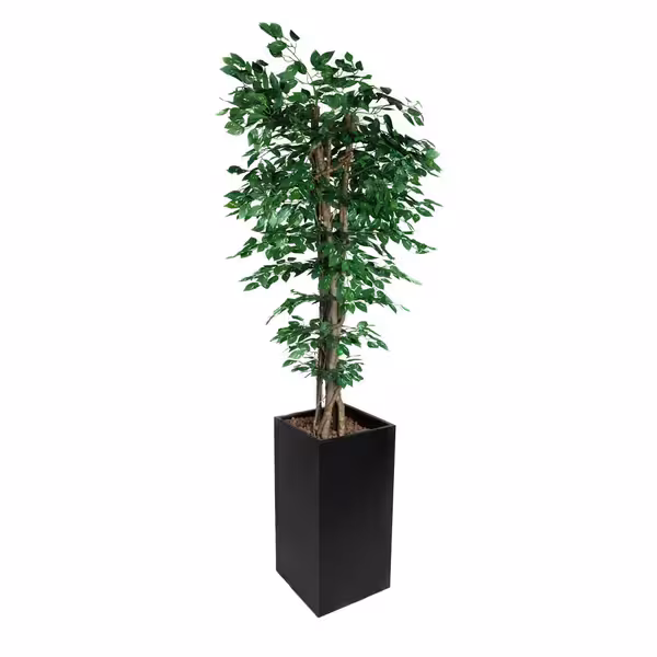 Yapay Ağaç "Ficus" - 210cm - Saksılı