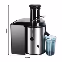 Commercial Centrifugal Juicer - 600W - 6,000rpm