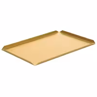 (5 kom) Prezentacijski pladanj - Aluminij - 500x100x10 mm - champagne
