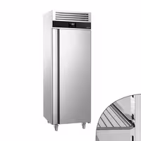 Commercial Upright Freezer Stainless steel PREMIUM - GN 2/1 - 700L - with 1 glass door - On castors - For UK