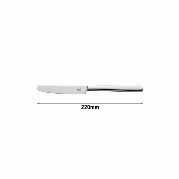 ZWILLING | Melody Dinner Knife – 220 mm - 18/10 stainless steel - polished