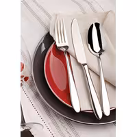 (12 pcs) Table knife - Leandro - 13/0 stainless steel - 207mm