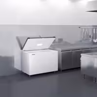 LIEBHERR Derin Dondurucu - 266 Litre - Paslanmaz çelik kapak