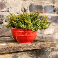 STAUB| Ceramic Bowl – Cherry Red - Ø 140 mm - Antique Glaze - For Dressings & Serving