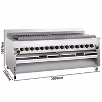 Commercial Gas Chargrill - for Adana & Shish Kebabs - 30 Auto-Rotating Skewers - 43kW - Freestanding - 1005mm Deep - 15 Burners