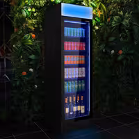 Frigorífico expositor de bebidas - 595mm - 345L - design sem moldura - 1 porta de vidro & iluminação LED multicolorida - com indicação/painel digital de temperatura - Preto