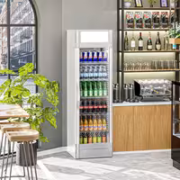 Frigorífico expositor de bebidas - 595mm - 347L - com 1 porta de vidro & painel publicitário iluminado - com indicação/painel digital de temperatura - Cinzento